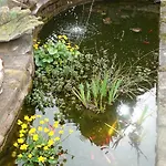 Le Jardin Des Secrets La Voivre (Vosges)