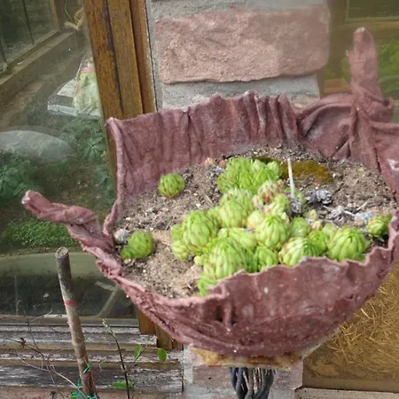 Le Jardin Des Secrets 3* La Voivre (Vosges)