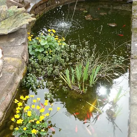 Le Jardin Des Secrets La Voivre (Vosges)