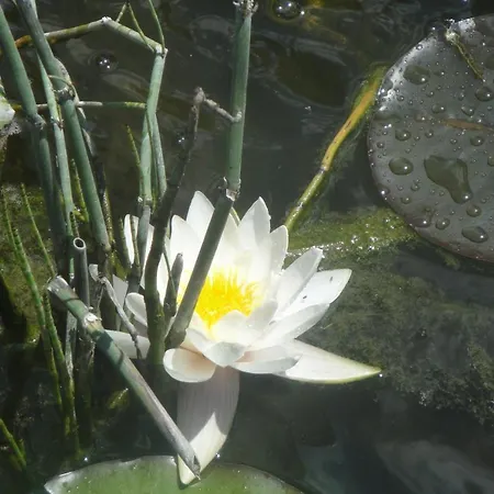 Le Jardin Des Secrets Bed and Breakfast *