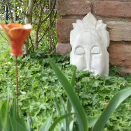 Le Jardin Des Secrets Bed & Breakfast La Voivre (Vosges)