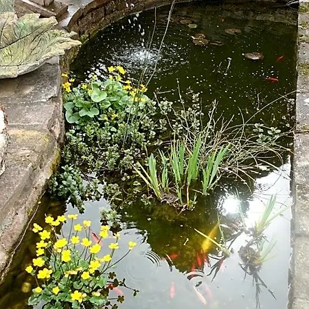Le Jardin Des Secrets La Voivre (Vosges)