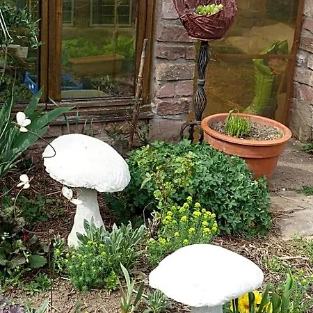 Le Jardin Des Secrets Bed & Breakfast La Voivre (Vosges)
