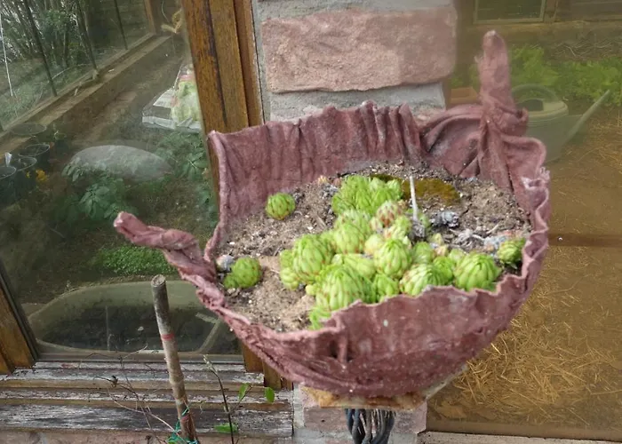 Le Jardin Des Secrets 3* La Voivre