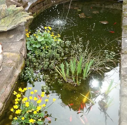 Le Jardin Des Secrets La Voivre