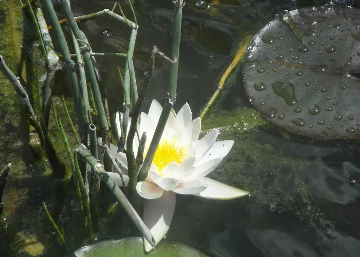 Le Jardin Des Secrets ベッド・アンド・ブレックファスト 3*