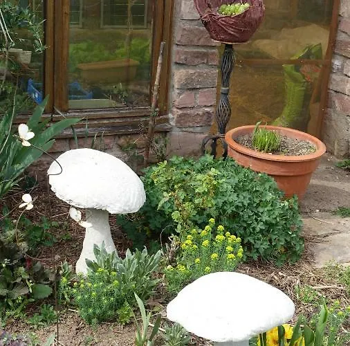 Le Jardin Des Secrets La Voivre